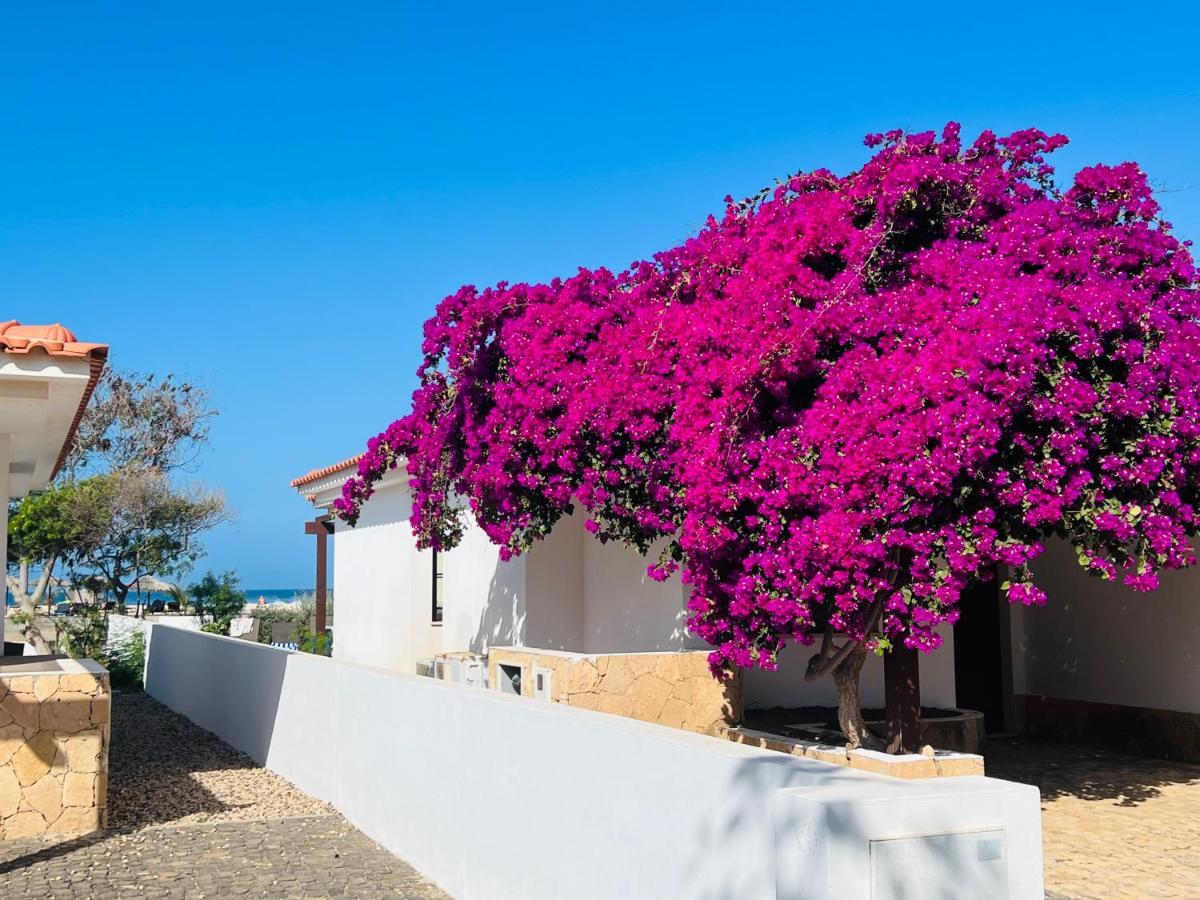 Villa With Privat Pool Near Beach Santa Maria Sal Kap Verde Eksteriør billede