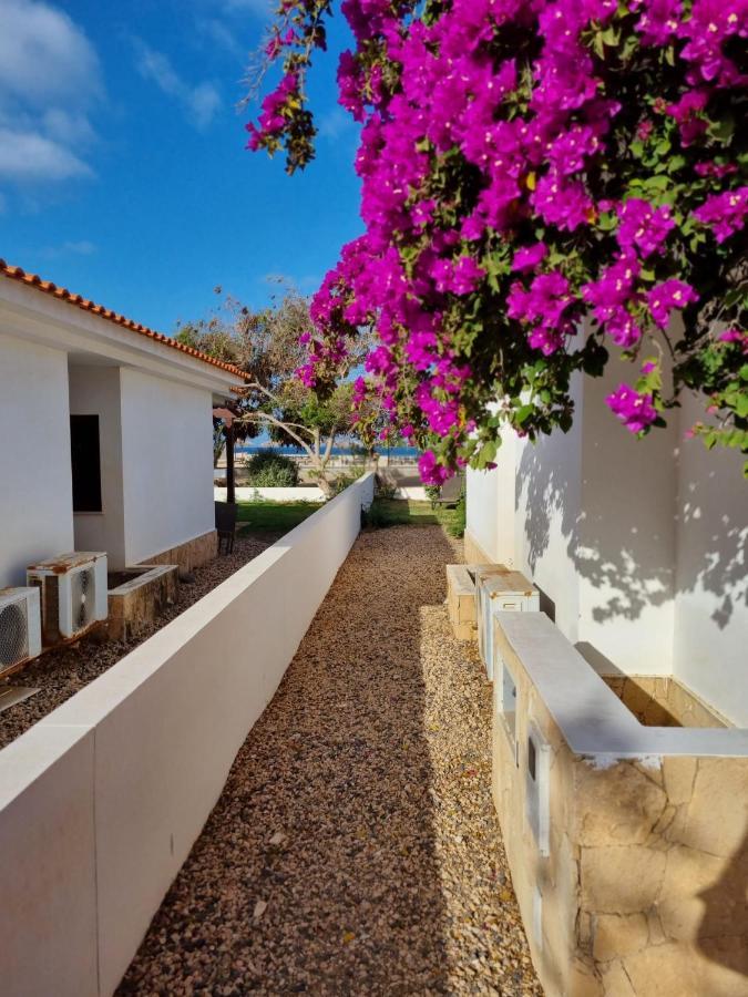 Villa With Privat Pool Near Beach Santa Maria Sal Kap Verde Eksteriør billede