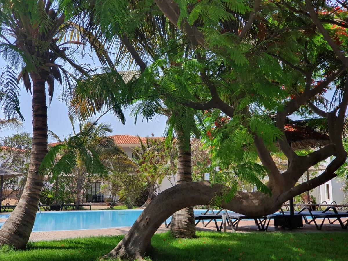 Villa With Privat Pool Near Beach Santa Maria Sal Kap Verde Eksteriør billede